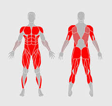 Tevo black widow version 3 assembly series. Black Widow Workout