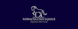 Miraculous Equus