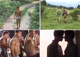 BelAmi, o la novela de educación twink. Producción de subjetividades y  cronotopías en la pornografía gay