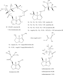 Image result for Crotalaria argyrolobioides