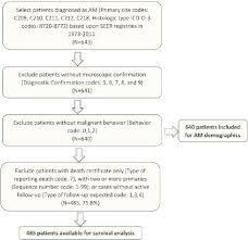 flow chart of patient inclusion a total of 640 am cases