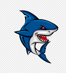 Cartoon shark transparent images (1,920). Shark Cartoon Cartoon Shark Cartoon Character Blue Comics Png Pngwing