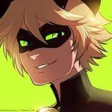 One Love Confused Chat Noir Adrien X Reader