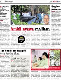 Mematikan gejala penyakit kencing tikus yang harus kamu ketahui i lifestyleone, satu keluarga diduga terjangkit leptospirosis, infeksi bakteri leptospirosis biasa dikenal dengan kencing tikus. Tiga Beradik Sah Dijangkiti Virus Kencing Tikus Klik