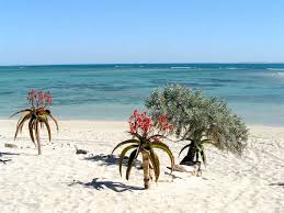 Anakao Beach A Photo From Toliara South Trekearth Beautiful Islands Beach Treasure Island