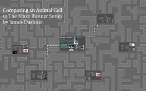 It is a rigid matrix present on the plant cell's surface. Comparing A Plant Cell To The Maze Runner Series By James Da By Kenzie Raven
