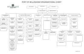 port of bellingham organizational chart ppt download