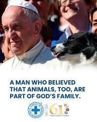 Rest in Peace, Pope Francis* A shepherd not just to humankind, but to all  of God's creatures. Your compassion extended beyond borders and species