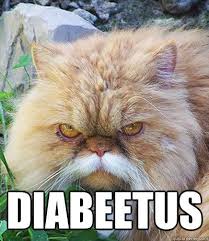 Our favorite diabetic cake recipes are sure to please your sweet tooth and your blood sugar. Diabetes Cat Memes