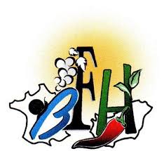 L'équipe cci france hongrie vous accompagne dans votre projet d'import ou d'export en hongrie : Association Bourgogne France Hongrie Saint Georges Sur Baulche