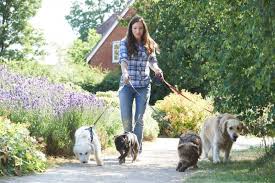 Start a quote for pet insurance and see how affordable a policy for your dog or cat can be! Do Pet Sitters Really Need Insurance The Business Of Pet Sitting