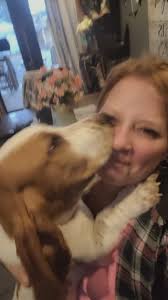 My RIP is a pretty boy but he constantly wants his hips rubbed so this is  the view he gives me much of the time.