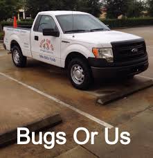Call us for an honest, knowledgeable, affordable solution. Bugs Or Us Of Flagler County Home Facebook