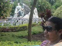 Anand Sagar, Shegaon