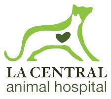 Our los angeles hospital is located in the city of angels veterinary specialty center, with rooftop parking located off jefferson blvd. Home Veterinarian In Los Angeles Ca La Central Animal Hospital La Central Animal Hospital Veterinarian In Los Angeles Ca Us