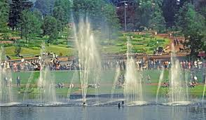 It's nestled in a perfect and peaceful location, away from the hustle and bustle of the city. 60 Jahre Dfg Forum Das Wochenmagazin