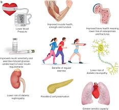 It's made me have a great awareness of my own body. Type I Diabetes And Exercise Springerlink