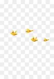 Are you searching for bird group png images or vector? Bird Group Png And Bird Group Transparent Clipart Free Download Cleanpng Kisspng