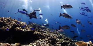 Hasil gambar untuk gambar tempat-tempat pariwisata kabupaten halmahera utara