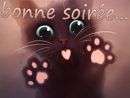Bonne Soir�e - Chaton - Picture - Free - Le Monde des Gifs