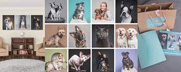 Maybe you would like to learn more about one of these? Studio Pet Photography For Dogs Cats Other Animals