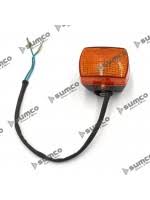 Intermitente Del. Der. Manillar (LN12)