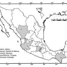 Savesave mapa de la republica mexicana sct for later. Mapa De La Republica Mexicana Donde Se Senalan Las Localidades Download Scientific Diagram
