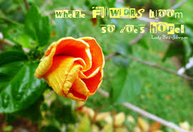 The main purpose is to offer rich details for the reader. Hope Quotes For The Flowers Quotesgram