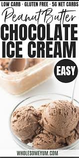 The creamery came out with ice cream bars that contain less than 60 calories each. Chocolate Peanut Butter Nice Cream Recipe 5 Ingredients Low Calorie Peanut Butter Low Calorie Ice Cream Recipe Nice Cream Recipe