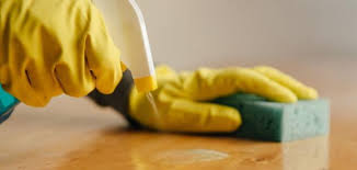 كيف تتخلص من النمل حياتك