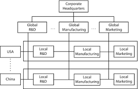 Nestle's overview 1.1 establishment and development history of nestle nestlé's origin date back to 1866, when two separate swiss enterprises of george page and charles page were founded that would later form the core of nestle. Organizational Structures For Global Brands Springerlink