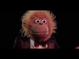 Mais je ne suis pas très fort quand il s'agit de parler de ma vie privée, je préfère garder ça pour moi. Jeff Panacloc Jean Marc Mort De Rire Je T Emmerde 13 06 2016 Youtube