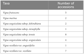 Image result for Vigna frutescens