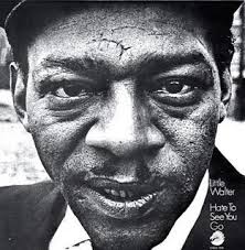 Bman's Blues Report: Hound Dog Taylor and Little Walter