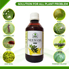 Neem Oil