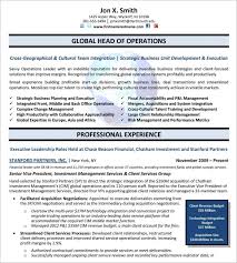 What is a cv template? 24 Best Sample Executive Resume Templates Wisestep