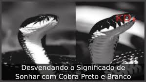 Desvendando o Significado de Sonhar com Cobra Preto e Branco