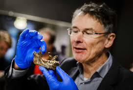 Caesar leidde grootste slachting ooit in Nederland'