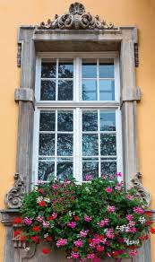 Window box flowers that attract hummingbirds. Hummingbird Plants 25 Of The Best Flowers That Attract Hummingbirds Gardening From House To Home Hummingbird Plants Flowers That Attract Hummingbirds How To Attract Hummingbirds