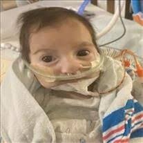 Rustyn Michael Lowe Obituary