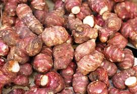 In this video, i give you my 5 top tips on how to grow a ton of jerusalem artichoke or sunchokes in just one raised garden bed or container. Jerusalem Artichokes Sunchoke Planting Growing And Harvesting Planet Natural