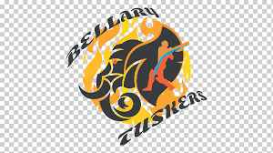This is logo designed for team asian warriors. Karnataka Premier League Bellary Tuskers Mysuru Warriors Kenyan Premier League Cricket Orange Logo Computer Wallpaper Png Klipartz