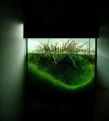 55 Wondrous Aquarium Design Ideas For Your Extraordinary Home Decoration Talkdecor Aquascape Aquarium Aquarium Aquascape