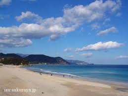 Résultat de recherche d'images pour "shimoda"