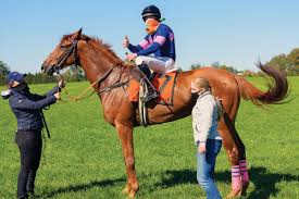 Steeplechase is a sport of the track and field discipline, which involves athletes racing on a course with obstacles. Steeplechase Racing Comes Galloping Back In Pennsylvania