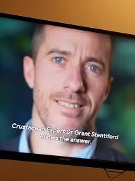 We Got Lobster.....Stonington, Me.