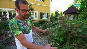 pin auf garten