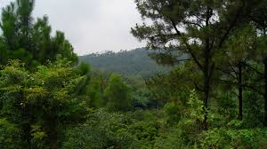 Hứa khải trong vai vương lục tài hoa bắc đẩu, anh chàng gia nhập vào phái linh kiếm, đây là phái có thể nói khí thế áp đảo người khác. Cung Ngáº¯m Cong Trinh Ä'á»n Thá» Chu VÄƒn An Tren Nui PhÆ°á»£ng Hoang Xa VÄƒn An Huyá»‡n Chi Linh Tá»‰nh Háº£i DÆ°Æ¡ng Tuá»•i Ä'a Vang