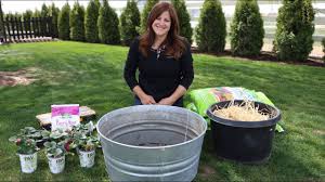 We did not find results for: Planting Strawberries In Containers For Beginners Garden Answer Youtube