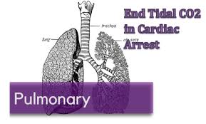 If you suffer a cardiac arrest you will stop breathing . End Tidal Co2 In Cardiac Arrest Nuem Blog